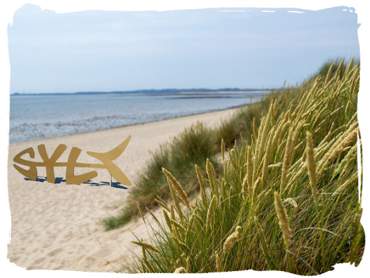 SYLT Foto: Sönke Städtler